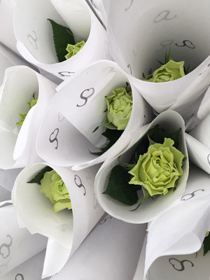 Grower: Meewisse Roses