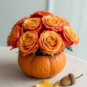 Roses in a pumpkin