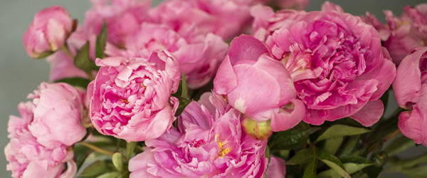 Seasonal bouquets Seasonal bouquets