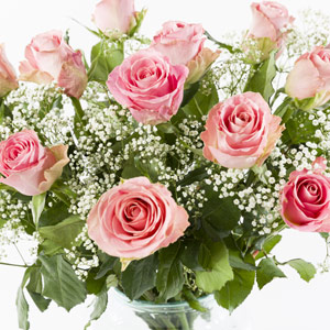 Soft pink roses with gypsophila Soft pink roses with gypsophila