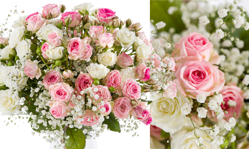 Ordering pink roses for your business Ordering pink roses for your business