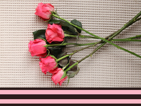 Mix of 30 pink roses