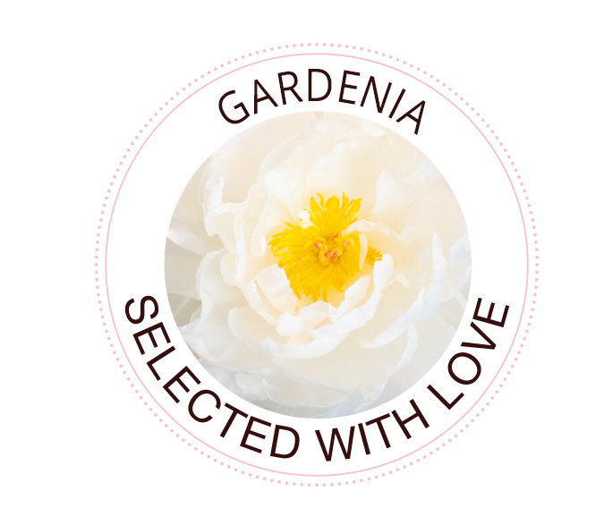 Gardenia peony