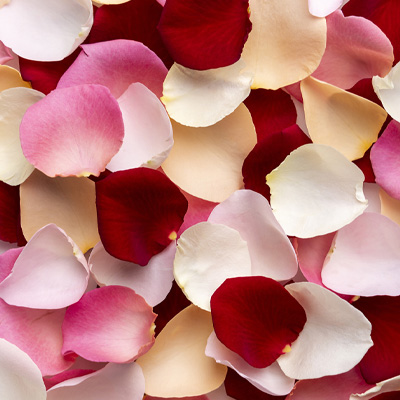 Buy rose petals online Order rose petals