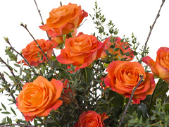Devoted rose bouquet Devoted bouquet