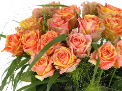 Fiësta bouquet Fiësta bouquet