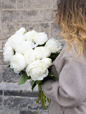 White peonies White peonies